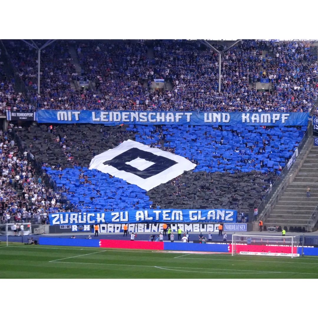 Hertha BSC – Hamburger SV 0-1 (41)