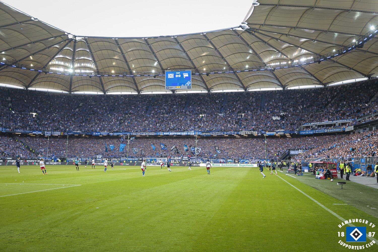 Hamburger SV – Hertha BSC 0-2 (11)