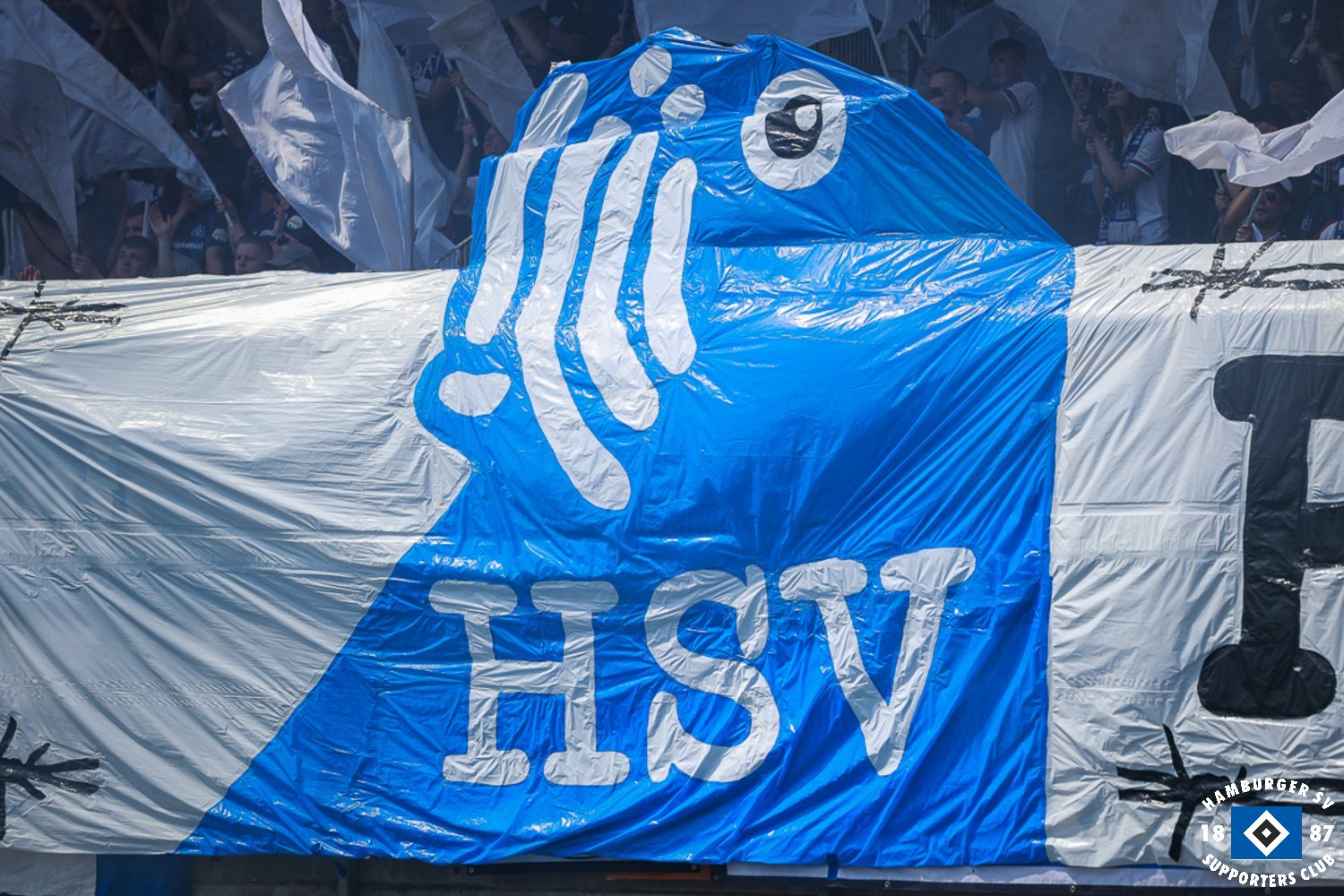 Eintracht Braunschweig – Hamburger SV 0-2 (10)