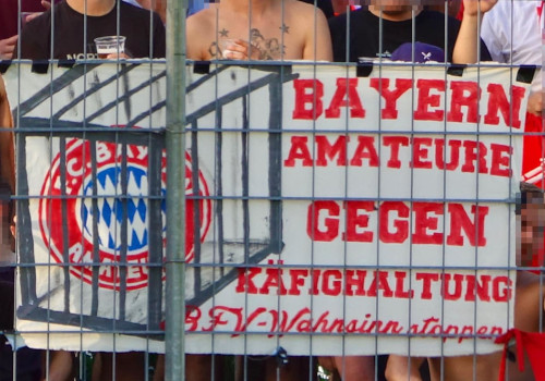 SpVgg Ansbach – FC Bayern München II