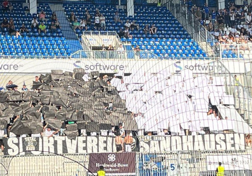 SV Darmstadt 98 – SV Sandhausen 2-1 (1)