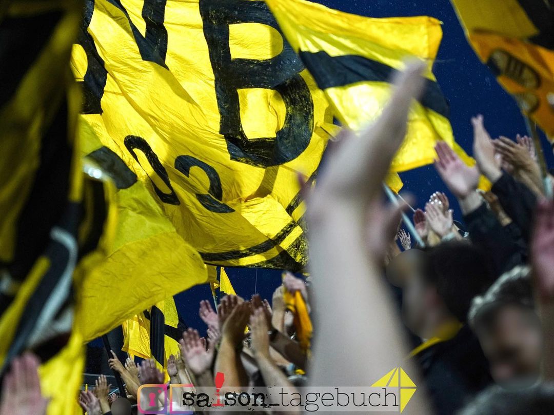 TSV 1860 München – Borussia Dortmund 0-3 (15)