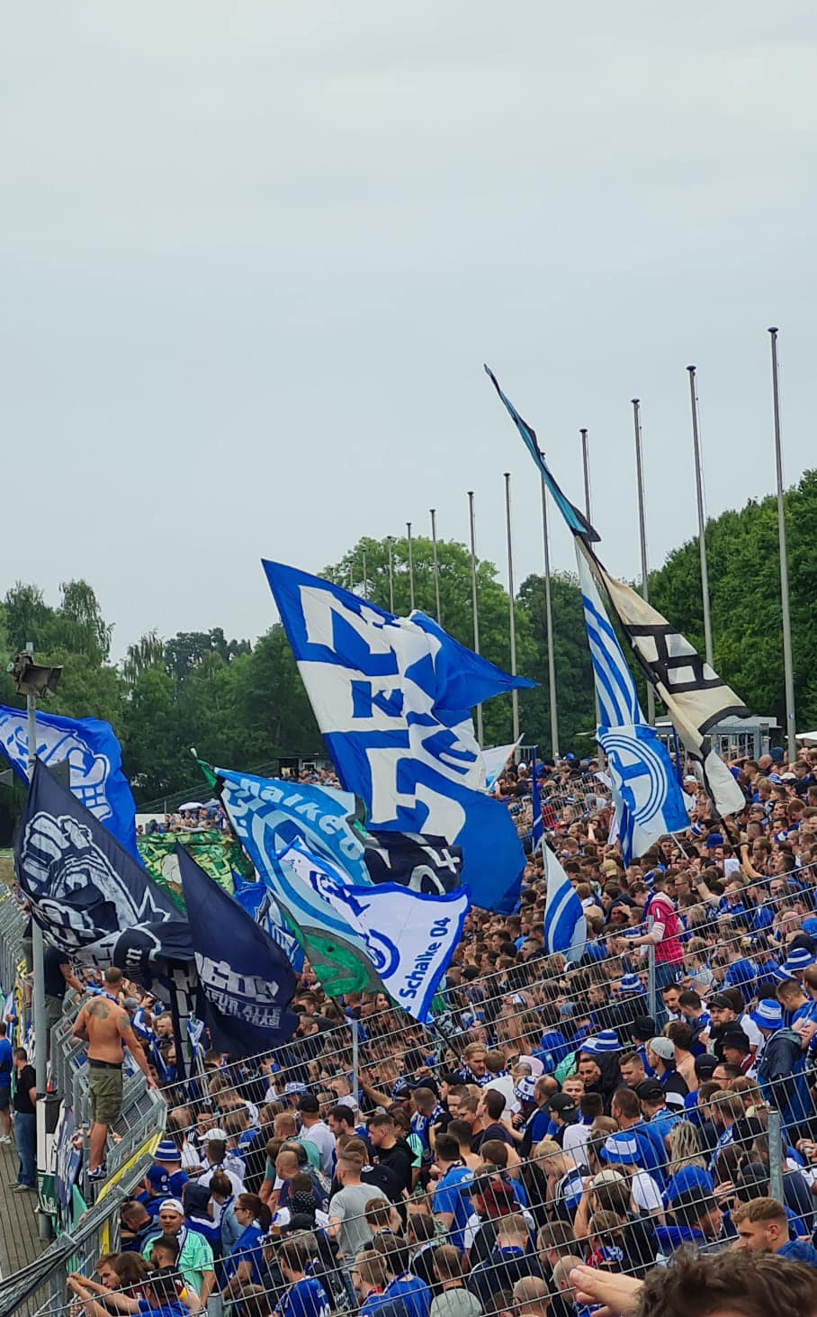 Bremer SV – FC Schalke 04 (2)