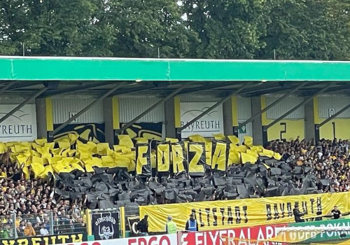SpVgg Bayreuth – Hamburger SV 1-3