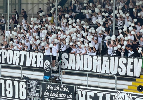 SV Sandhausen – Fortuna Düsseldorf 1-0 (1)