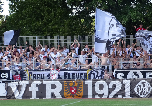 SGV Freiberg – VfR Aalen 1-2 (26)