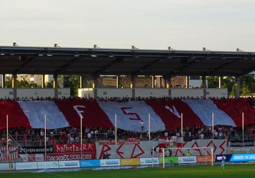 FSV Zwickau – MSV Duisburg 0-1 (12)