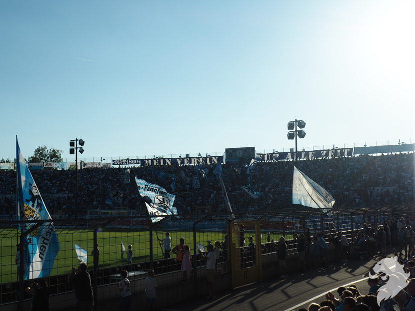 TSV 1860 München – SV Meppen 4-0 (6)