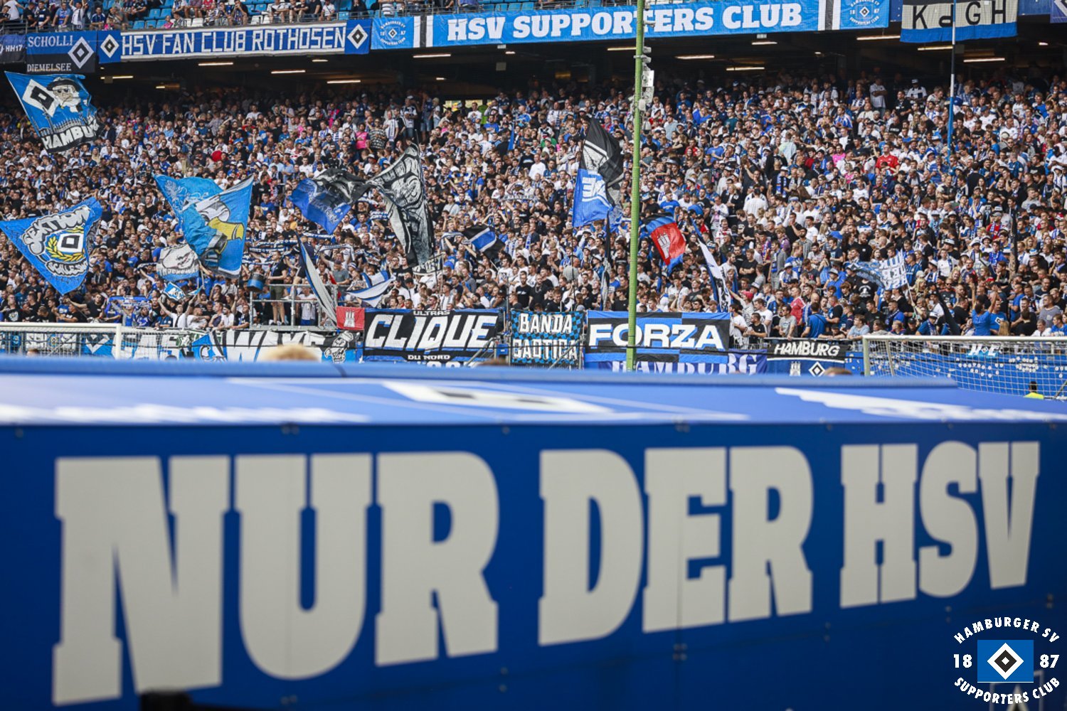 Hamburger SV – SV Darmstadt 98 1-2