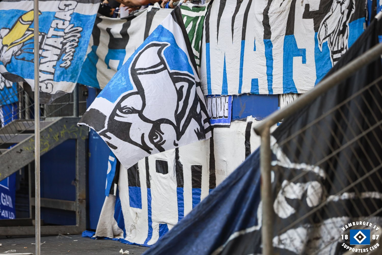 Hamburger SV – SV Darmstadt 98 1-2 (13)