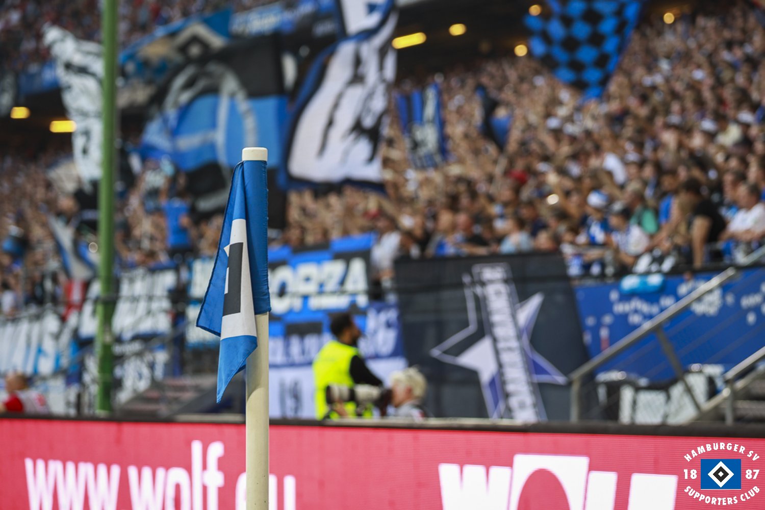 Hamburger SV – SV Darmstadt 98 1-2 (22)