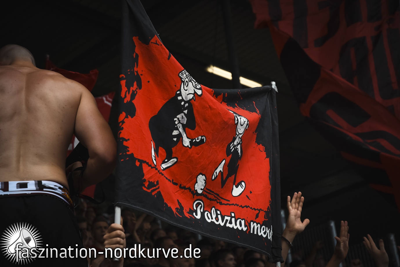 SV Sandhausen – 1. FC Nürnberg 1-2 (10)