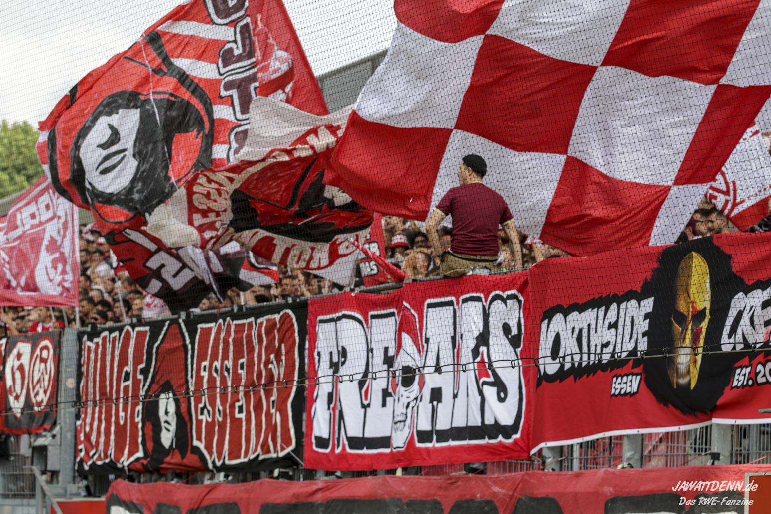 Rot-Weiss Essen – FC Ingolstadt 2-2 (19)