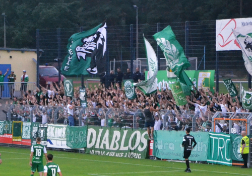 FSV Luckenwalde – BSG Chemie Leipzig 2-2 (22)