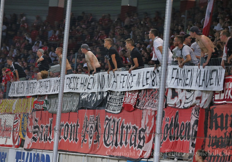 Hallescher FC – SV Meppen 1-1 (7)