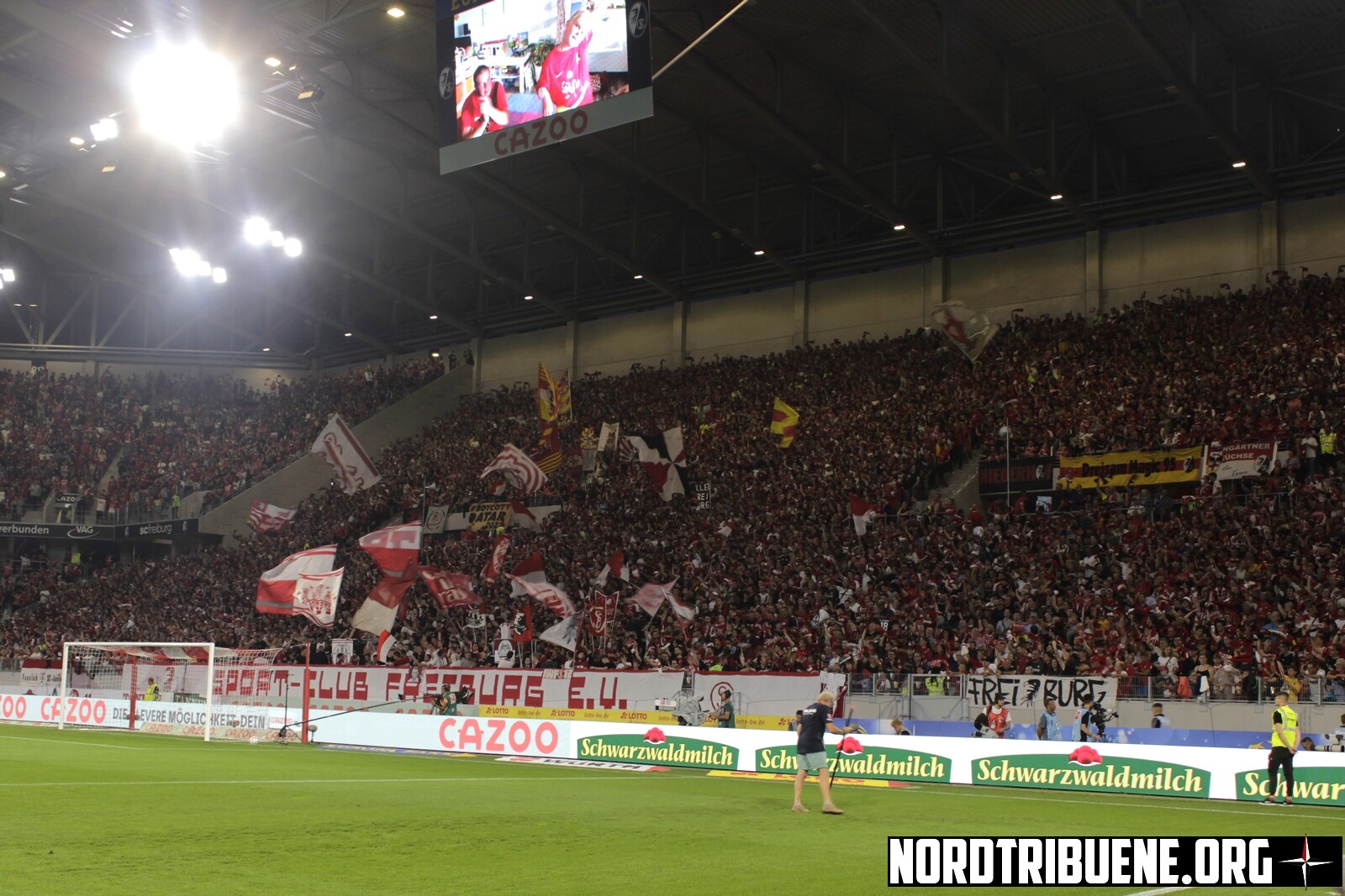 SC Freiburg – VfL Bochum 1-0 (5)