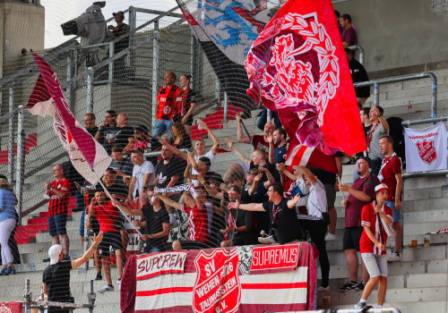 FC Ingolstadt – SV Wehen 2-3 (5)