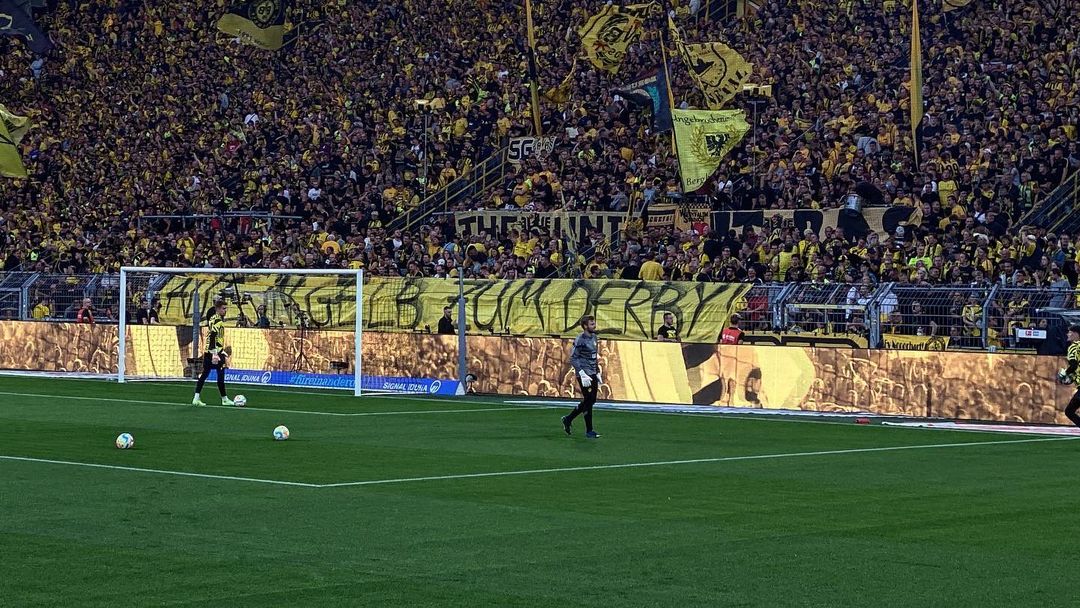 Borussia Dortmund – TSG Hoffenheim 1-0 (8)
