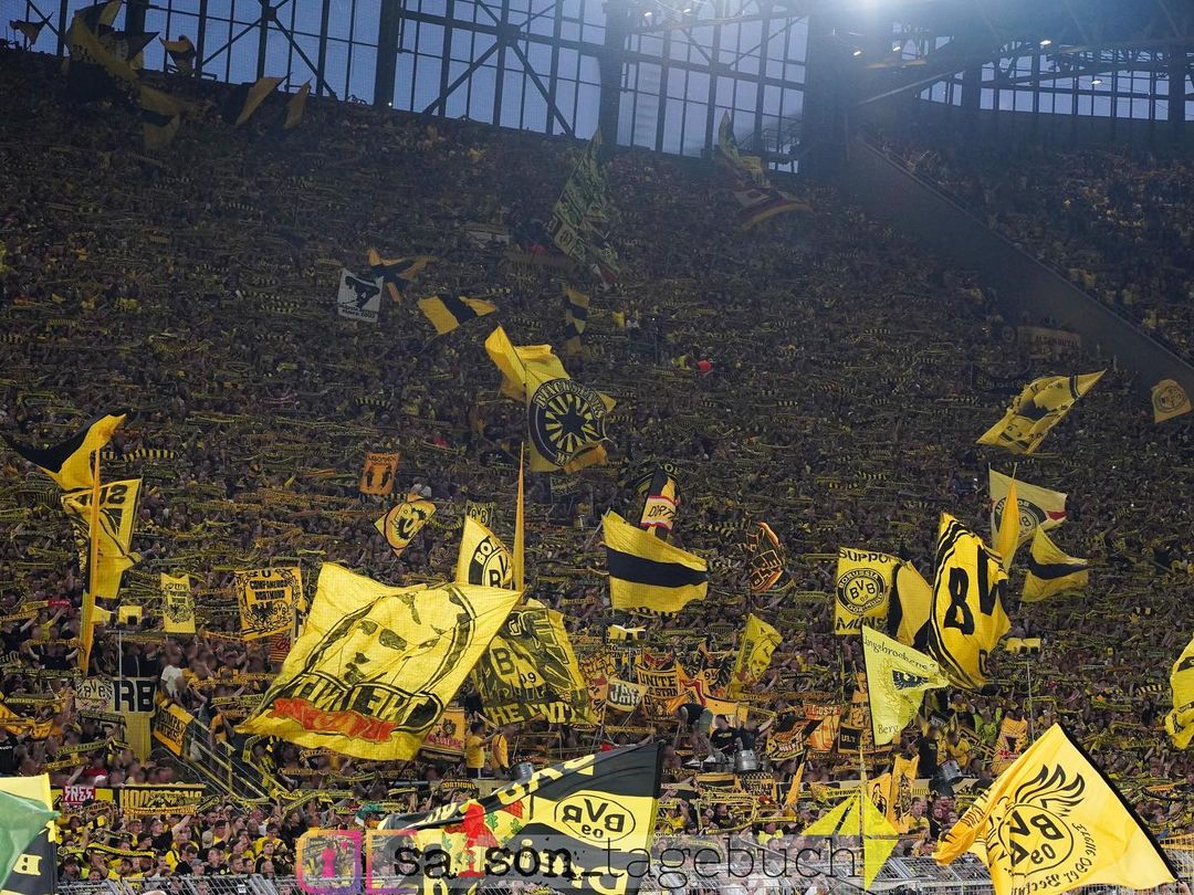 Borussia Dortmund – TSG Hoffenheim 1-0 (13)