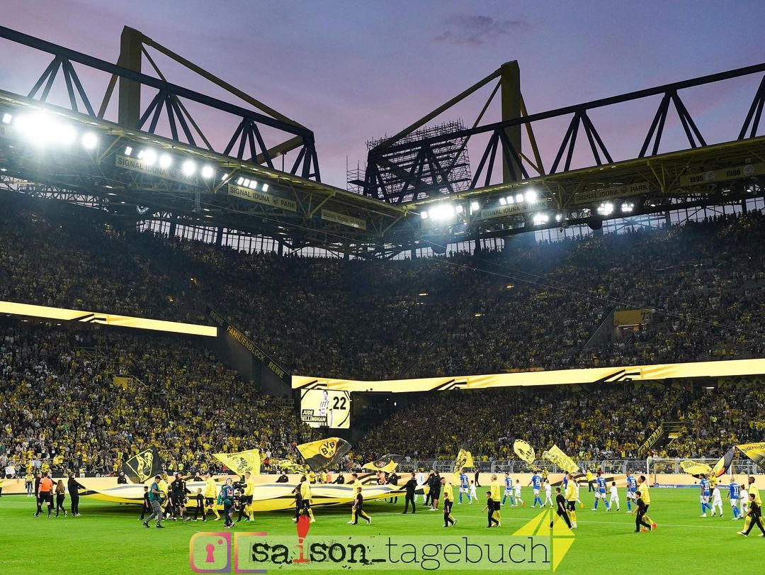 Borussia Dortmund – TSG Hoffenheim 1-0 (14)