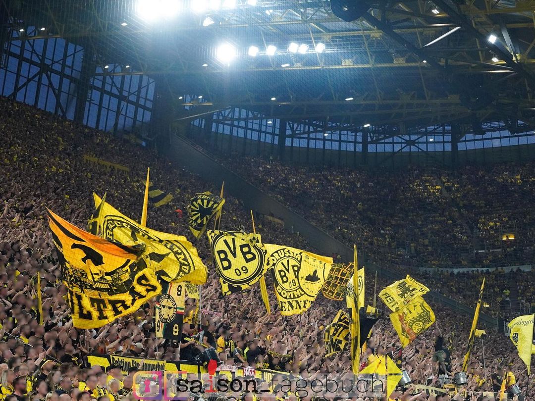 Borussia Dortmund – TSG Hoffenheim 1-0 (15)