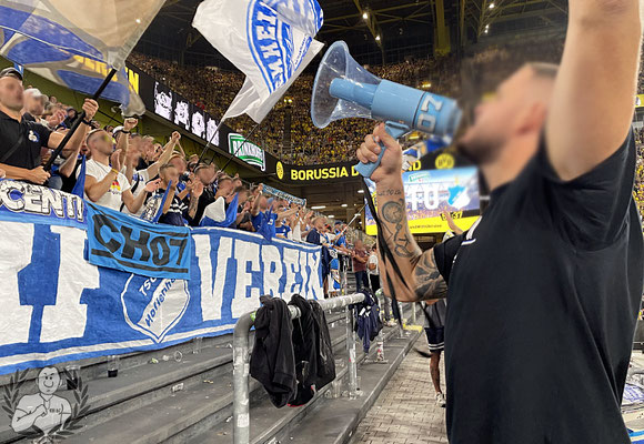Borussia Dortmund – TSG Hoffenheim 1-0 (4)