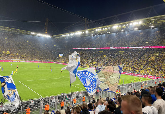 Borussia Dortmund – TSG Hoffenheim 1-0 (7)