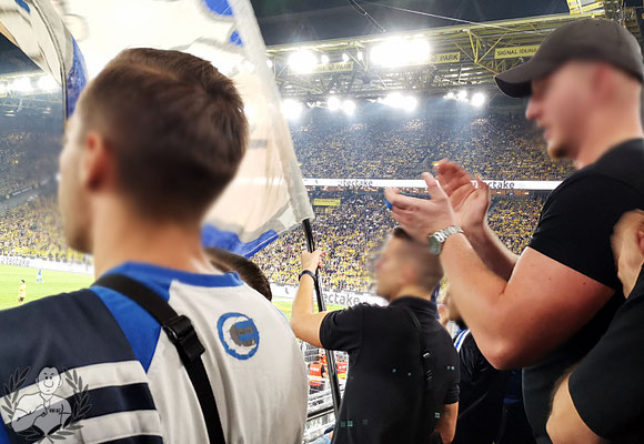 Borussia Dortmund – TSG Hoffenheim 1-0 (8)