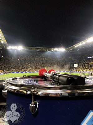 Borussia Dortmund – TSG Hoffenheim 1-0 (9)