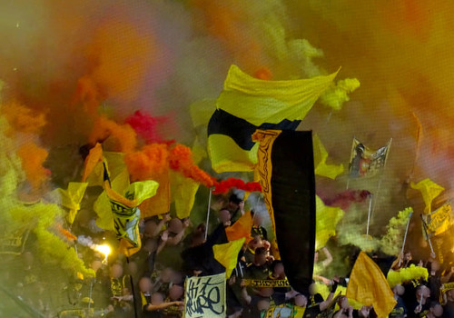 Dynamo Dresden – Borussia Dortmund II 3-0 (21)