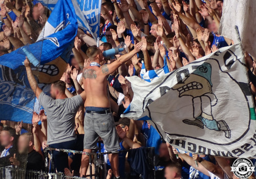 VfB Stuttgart – FC Schalke 04 1-1 (22)