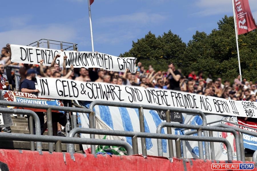 Wuppertaler SV – SV Straelen 2-1 (5)