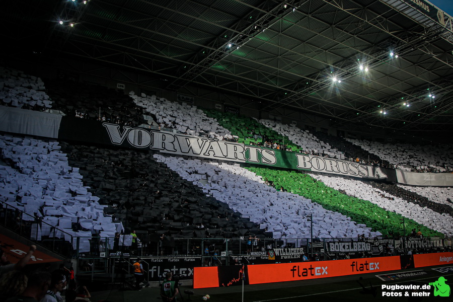Borussia Mönchengladbach – 1. FSV Mainz 05 0-1 (5)