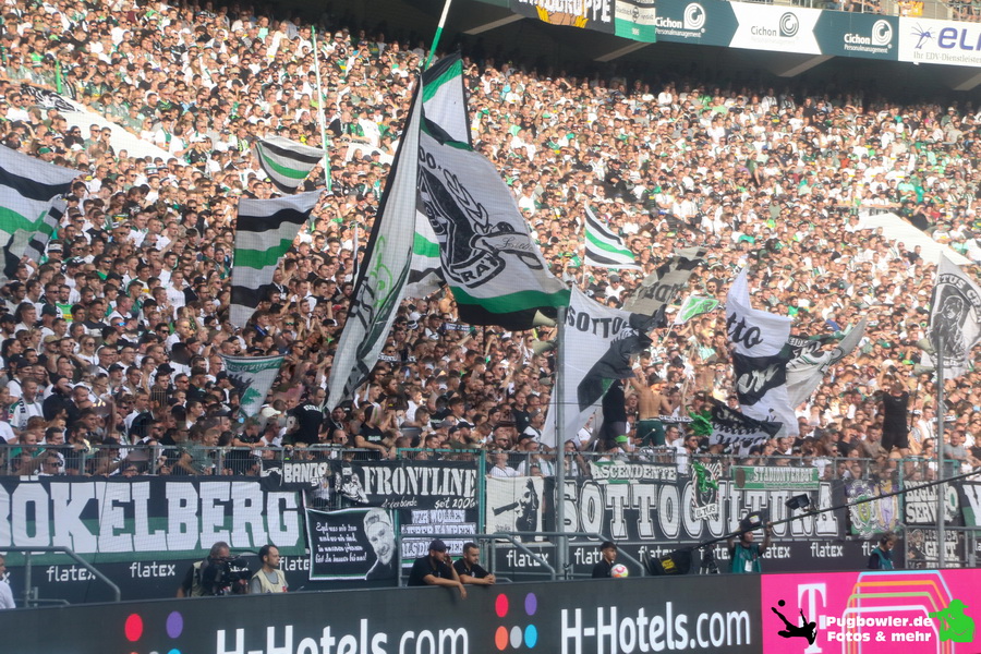 Borussia Mönchengladbach – 1. FSV Mainz 05 0-1 (8)