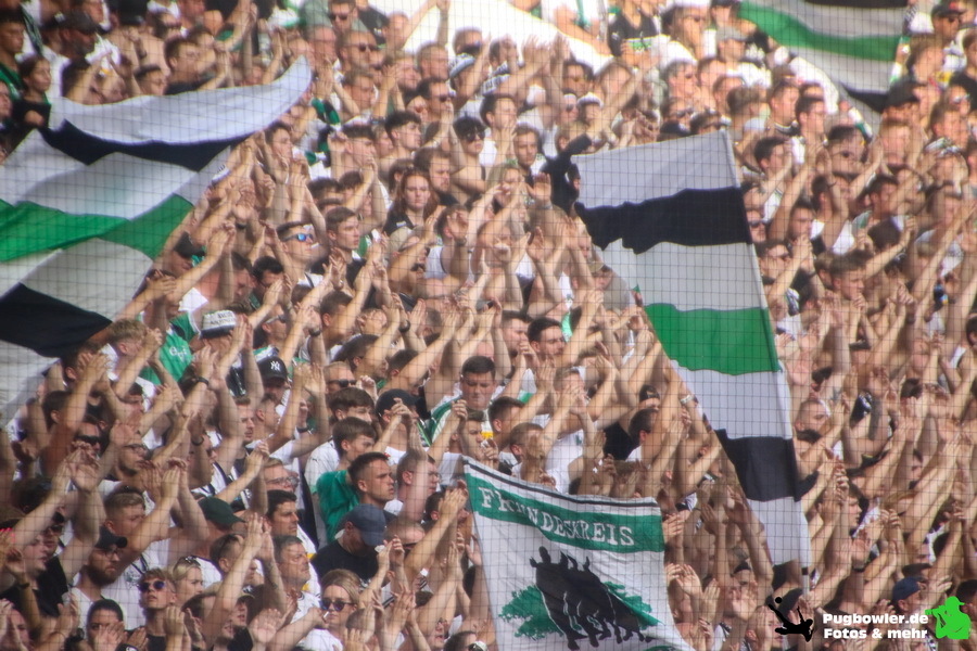 Borussia Mönchengladbach – 1. FSV Mainz 05 0-1 (9)