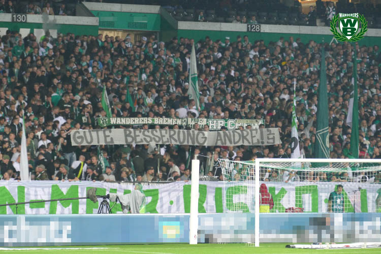 Werder Bremen – FC Augsburg 0-1 (13)