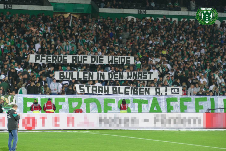 Werder Bremen – FC Augsburg 0-1 (15)