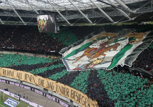 Hannover 96 – Eintracht Braunschweig 1-1 (5)