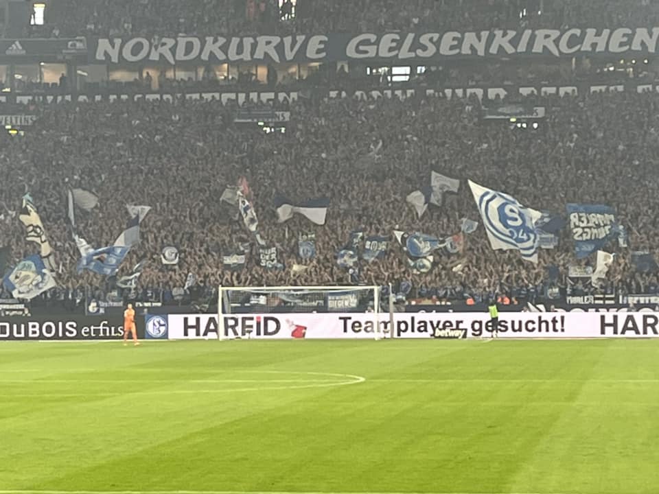 FC Schalke 04 – VfL Bochum 3-1 (1)