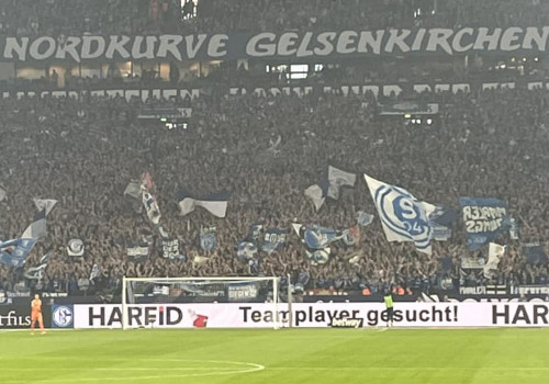 FC Schalke 04 – VfL Bochum 3-1 (3)