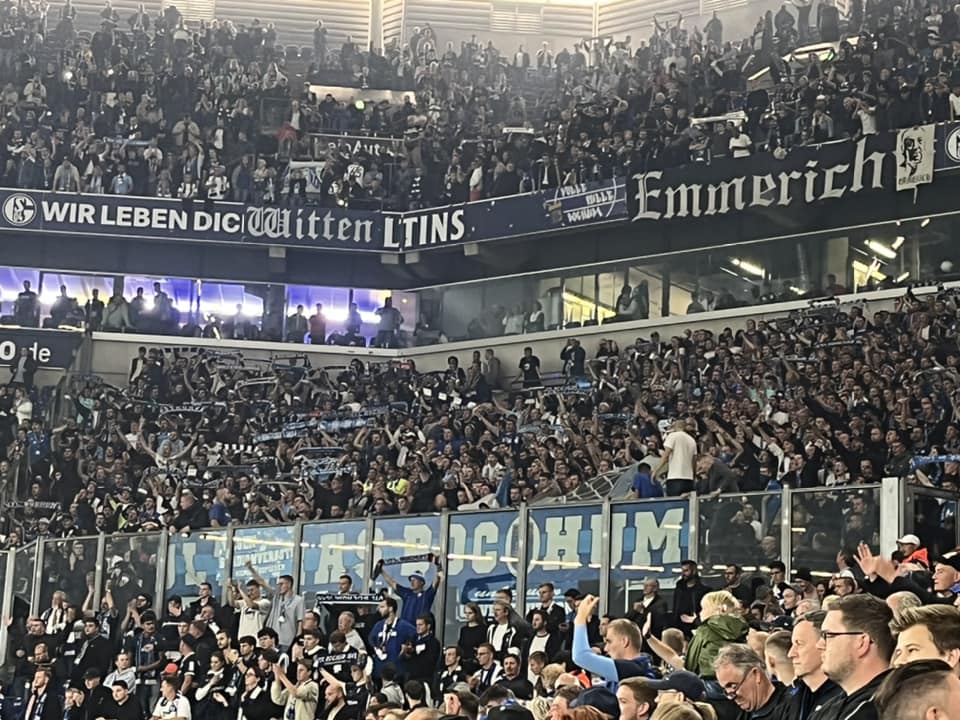 FC Schalke 04 – VfL Bochum 3-1 (1)