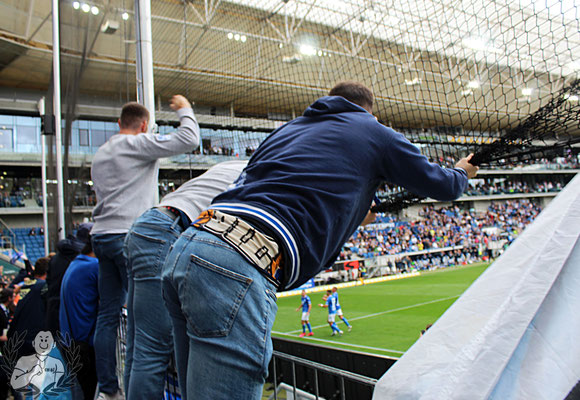 TSG Hoffenheim – 1. FSV Mainz 05 4-1 (2)
