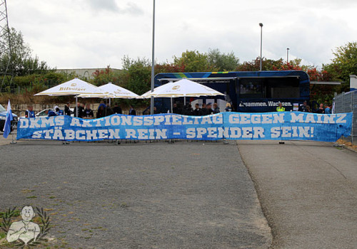 TSG Hoffenheim – 1. FSV Mainz 05 4-1 (12)