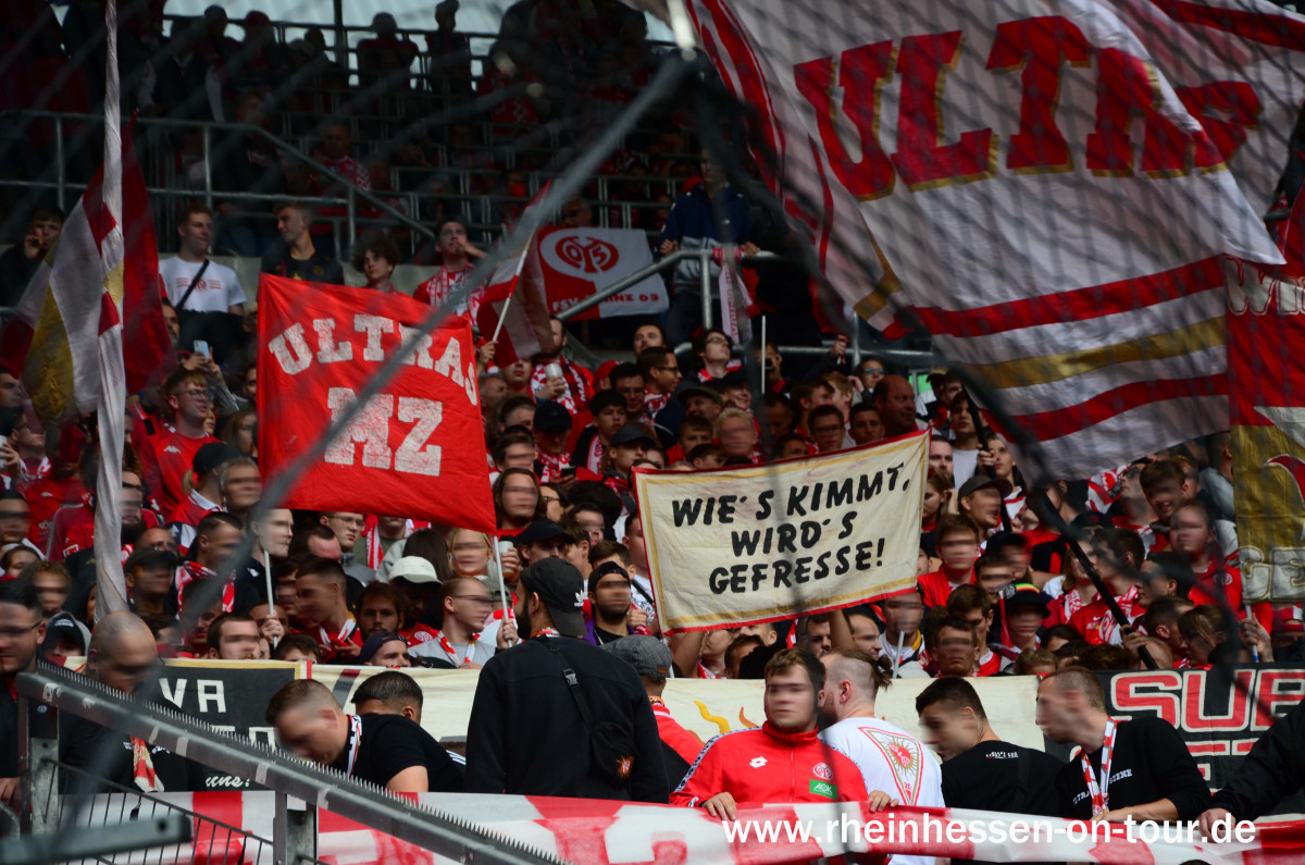 TSG Hoffenheim – 1. FSV Mainz 05 4-1 (2)
