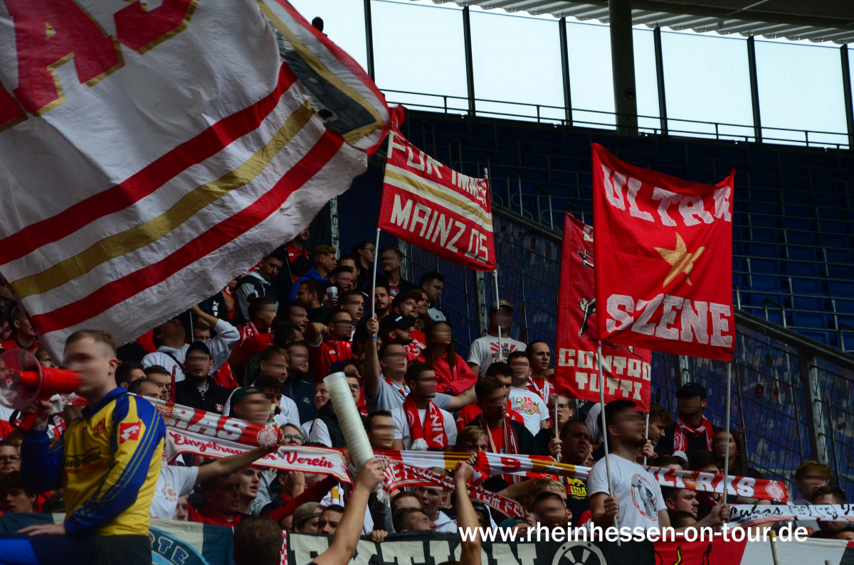 TSG Hoffenheim – 1. FSV Mainz 05 4-1 (15)