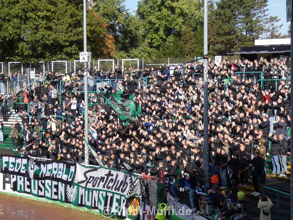 SC Preußen Münster – SV Rödinghausen 1-0 (12)