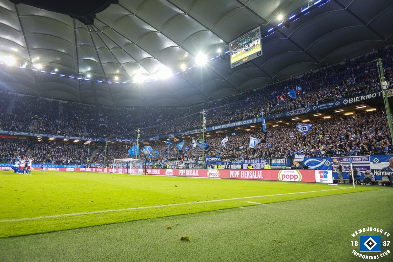 Hamburger SV – Fortuna Düsseldorf 2-0 (16)