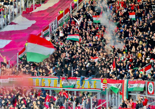 Deutschland – Ungarn 0-1 (3)