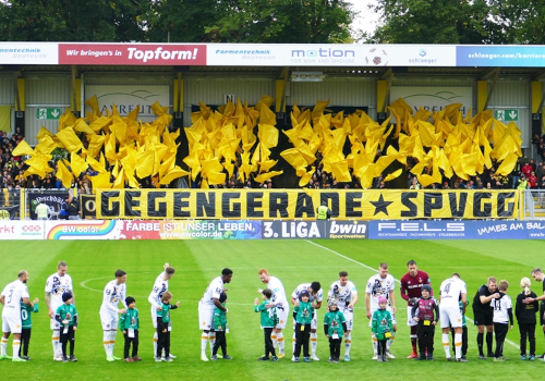 SpVgg Bayreuth – Dynamo Dresden 1-1 (2)