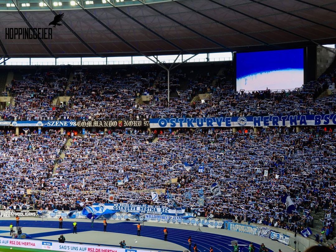 Hertha BSC – TSG Hoffenheim 1-1 (1)